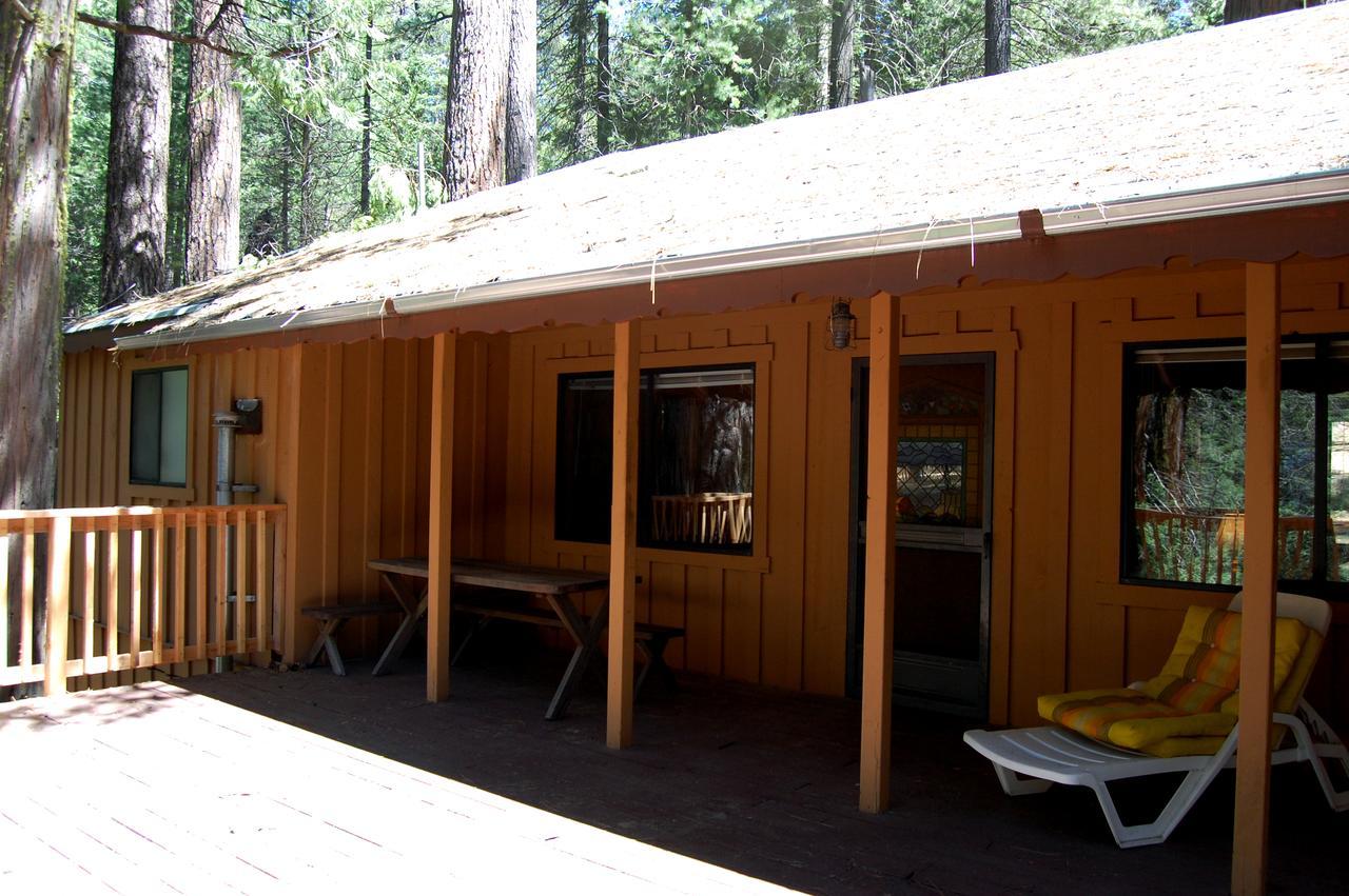 9s Pine South Wawona